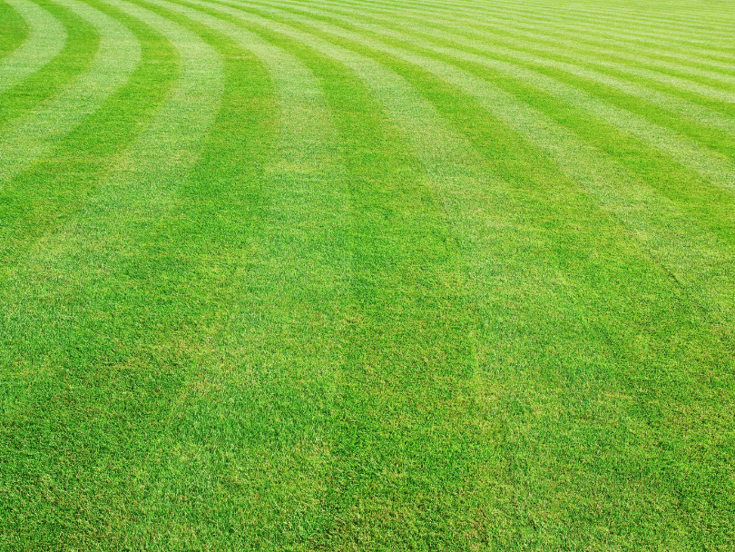 small business lawn care sioux falls sd