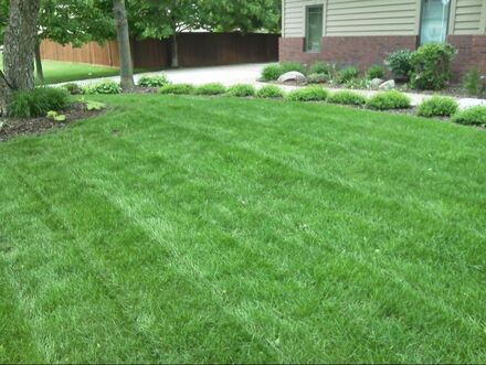 lawn mowing services sioux falls